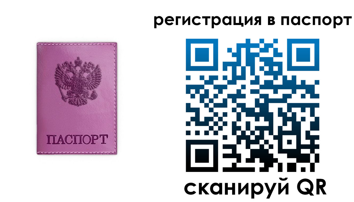прописка в Нелидово